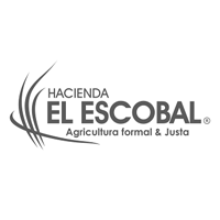 cliente-el-escobal